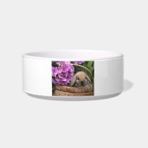 Brown Lop-Eared Bunny Rabbit Pet Bowl Cat Water Bowl