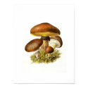 Brown Mushroom Print