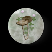 Brown Mushrooms with pink clover Buttons