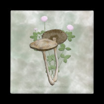 Brown Mushrooms with pink clover Magnet