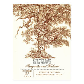 brown old oak tree save the date postcards