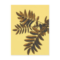 brown on yellow postcards by nmpics brown on yellow postcards