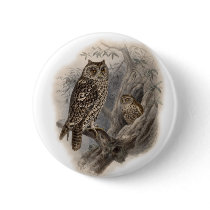 Brown Owl Button
