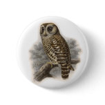Brown Owl Button