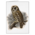  - Vintage Birds with Delightful wildlife scenes full of detail and charm on cards and invitations.: Sizes 