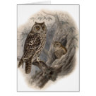  - Vintage Birds with Delightful wildlife scenes full of detail and charm on cards and invitations.: Sizes 