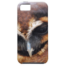 Brown Owl iPhone 5 Cases