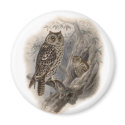 Brown Owl magnets by Memory_Lane Brown Owl magnets