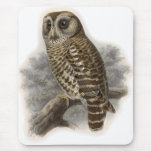 Brown Owl Mouse Pads