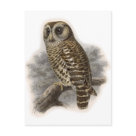  - Vintage Birds with Delightful wildlife scenes full of detail and charm on cards and invitations.: Sizes 