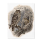  - Vintage Birds with Delightful wildlife scenes full of detail and charm on cards and invitations.: Sizes 