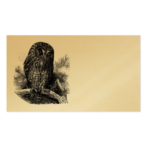 Brown Owl Sleeping Business Card (back side)