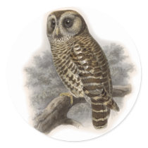 Brown Owl stickers