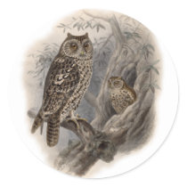 Brown Owl stickers