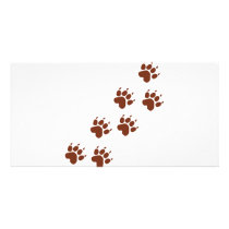 brown pad traces icon photo cards