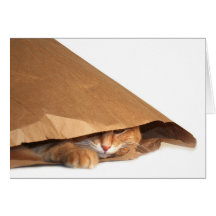 Brown paper bag cat card