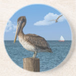Brown Pelican Coaster
