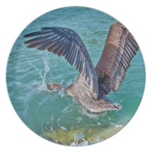 Brown Pelican Diving Plates