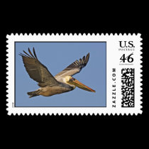 brown pelican (from Naturespicsonline) postage