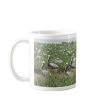 Brown Pelican Nesting Spot mugs