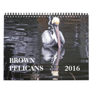 Brown Pelicans Calendar