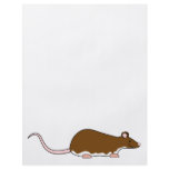 Brown Pet Rat. Berkshire, White Belly. flyers