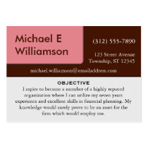 Brown Pink Corner RESUME Business Cards business cards