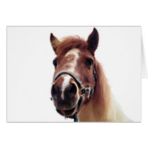 Brown Pony cards