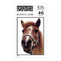 Brown Pony postage