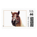 Brown Pony postage