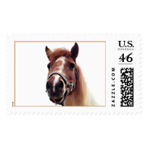 Brown Pony postage