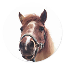 Brown Pony stickers