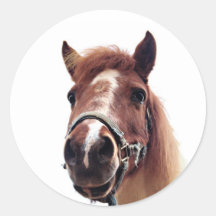 Brown Pony Sticker