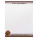 Brown Puppy Looks Out for You Letterhead