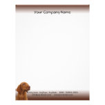 Brown Puppy Looks Out for You Letterhead