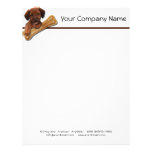 Brown Puppy with a Bone Letterhead