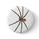brown recluse spider button