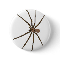 brown recluse spider button