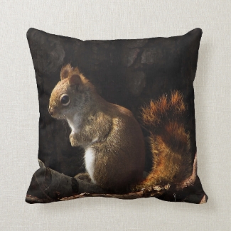 Brown Red Squirrel in Sunlight Outdoor Pillow