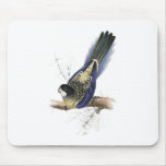 Brown’s Parrakeet by Edward Lear Mousemats