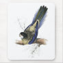 Brown’s Parrakeet by Edward Lear Mouse Mat