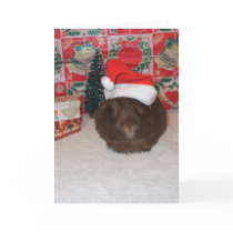 Brown Santa Pig Greeting Cards