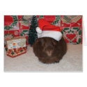 Brown Santa Pig card