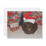 Brown Santa Pig Custom Invitation