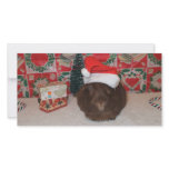 Brown Santa Pig photo cards