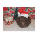 Brown Santa Pig postcard