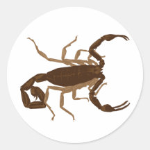 Brown Scorpion Round Sticker