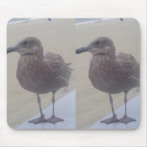 Brown Seagull Waiting For A Fish On The Beach Mousepad