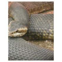 brown snake letterhead by pinkypetals brown snake letterhead