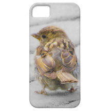 Brown Sparrow iPhone 5 Case